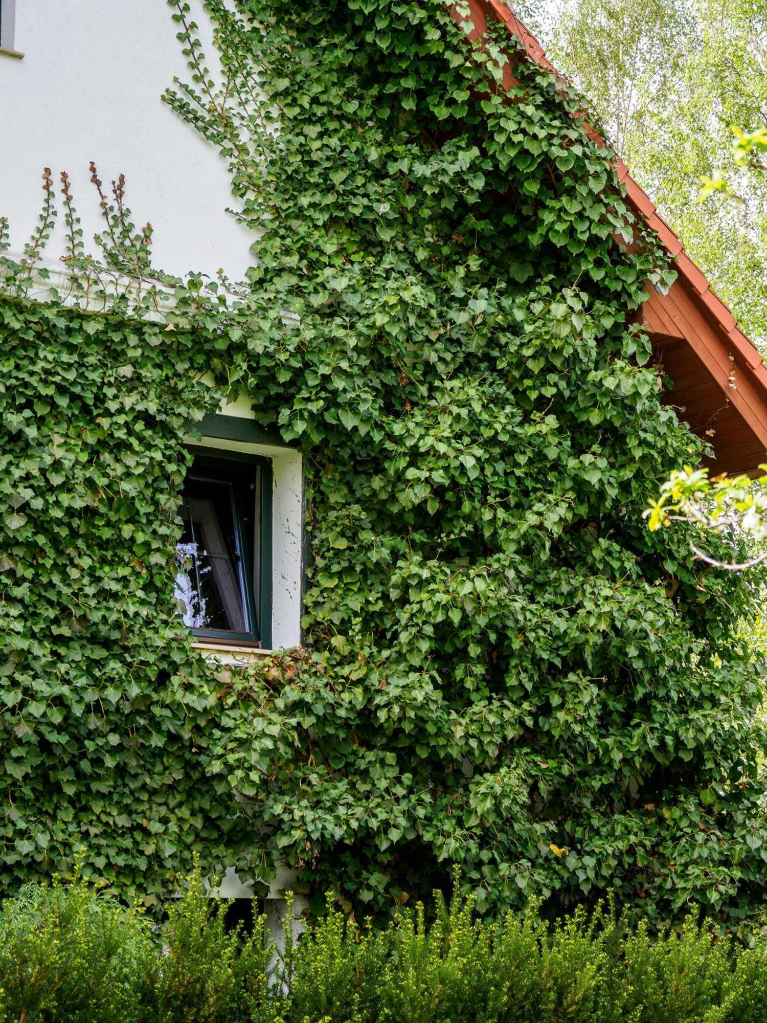 Plonica 1 Złoty Stok Exterior foto