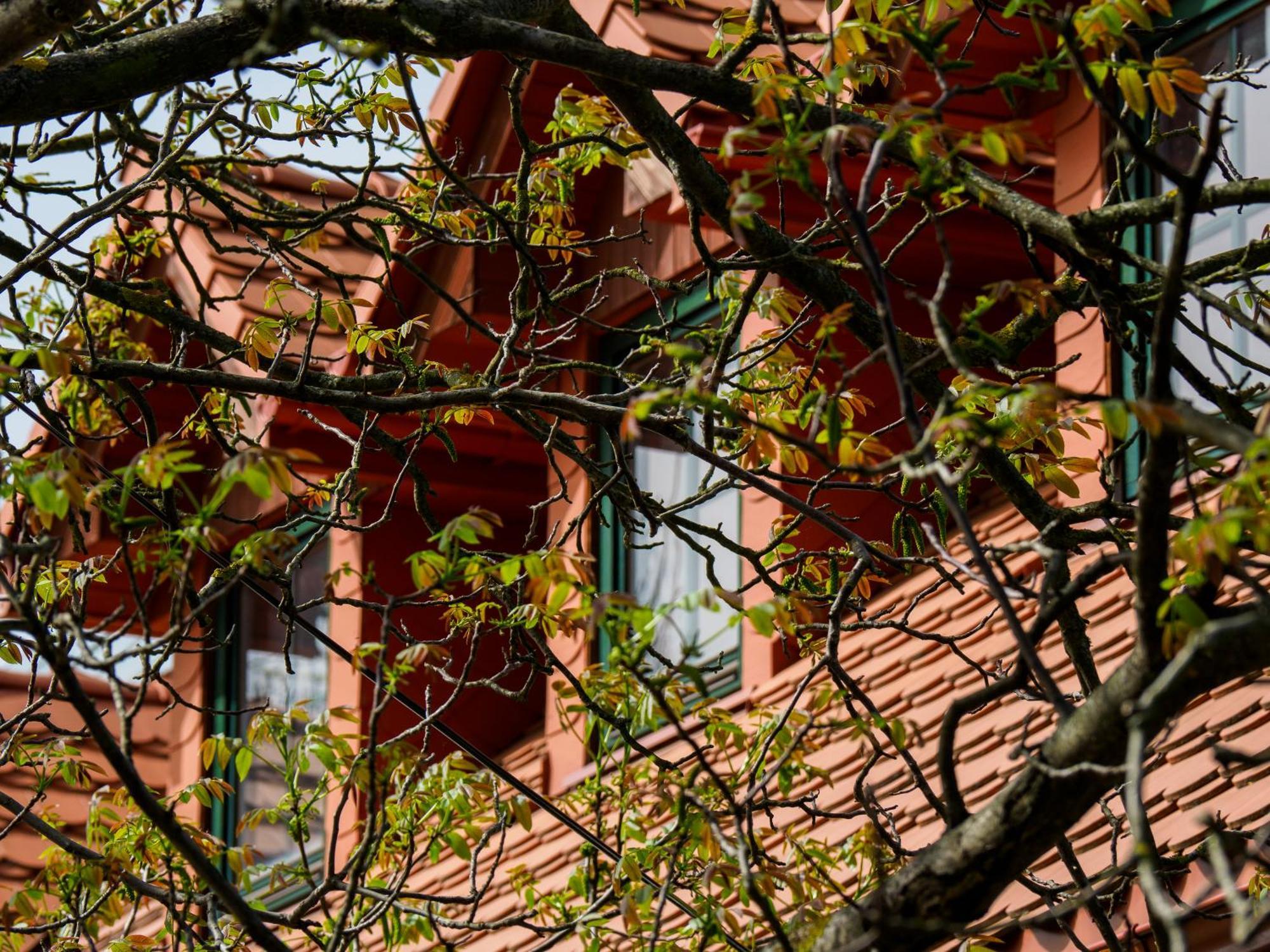 Plonica 1 Złoty Stok Exterior foto